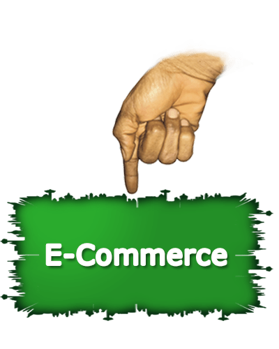 E-COMMERCE, online sales, aduduke service team, seo, marketing, page ranking